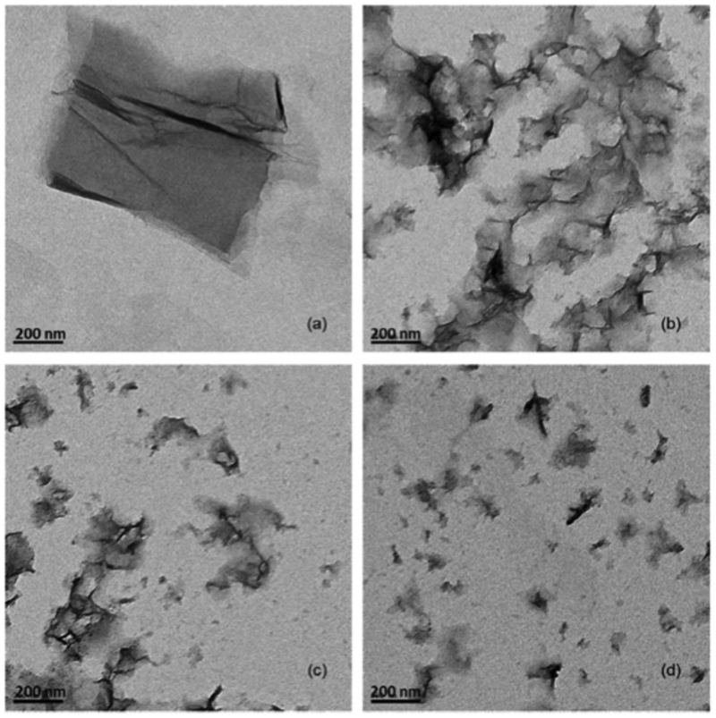 TEM images of graphene oxide and products with free chlorine under UVA irradiation 